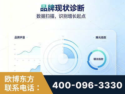 昌都-品牌现状诊断