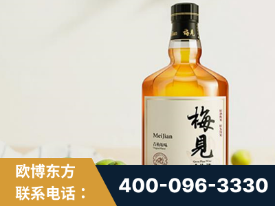 昌都-梅见青梅酒